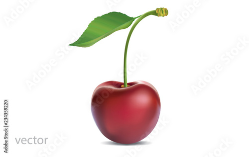 Realistic vector illustration of ripe cherry with green leaf