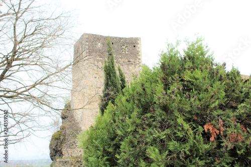 VILLAGE DE ROCHEMAURE -ARDECHE photo