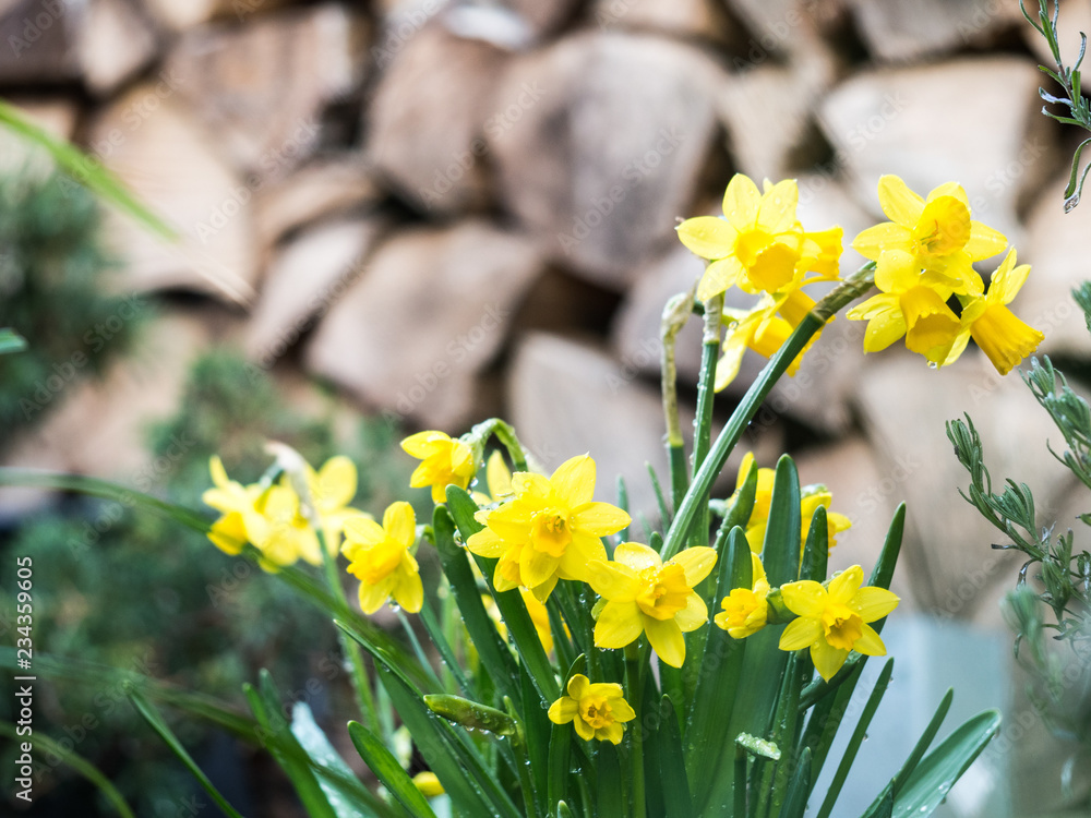 Fototapeta premium OLYMPUS DIGITAL CAMERA