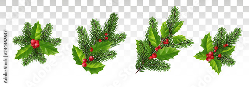 Christmas set for decoration. Pine branches and holly with red leaves. Vector.Eps10. photo