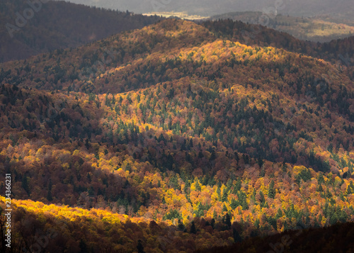 Fototapeta Naklejka Na Ścianę i Meble -  Połonina