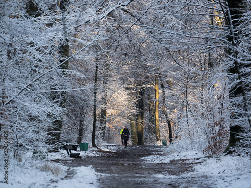 Fototapeta Naklejka Na Ścianę i Meble -  OLYMPUS DIGITAL CAMERA