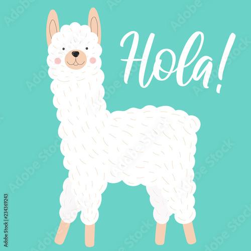 Vector illustration of a cute white llama or alpaca on a blue background with the inscription Hola. Image on South American theme for children  cards  invitation  print  textiles.