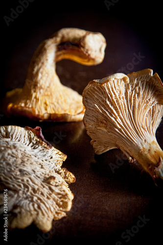 Chanterelle mushroom photo