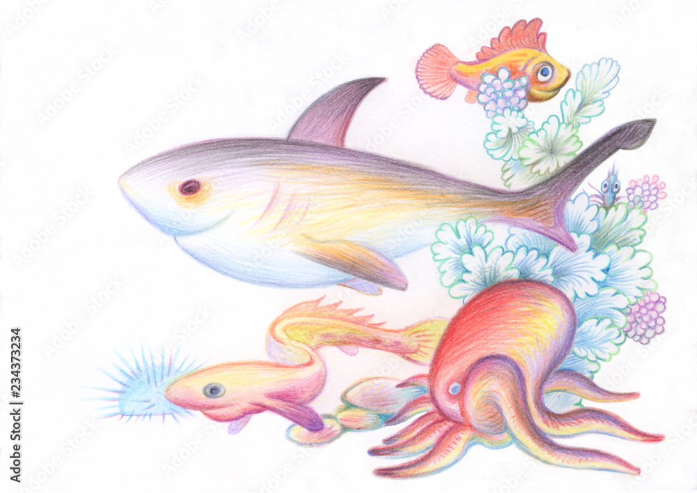 Pencil drawing. Illustration for children. Image of animals with colored  pencils. The inhabitants of the marine world in his native element. Stock  Illustration | Adobe Stock