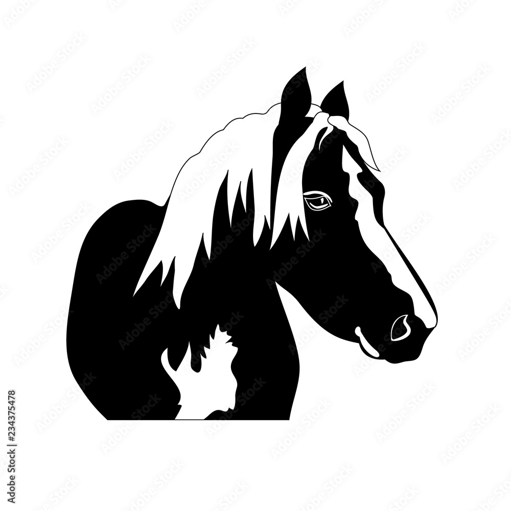 Silhouette beautiful Arabian horse. black and white Silhouette beautiful Arabian horse. black and white