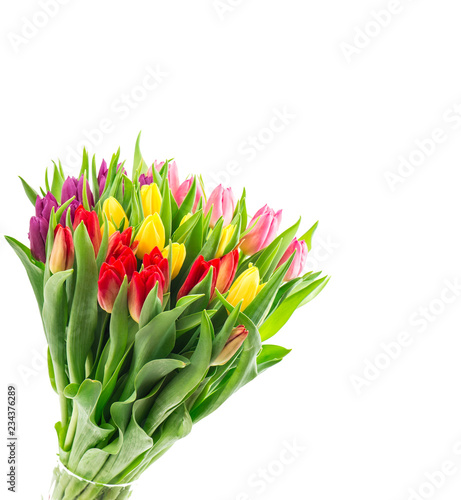 Tulip flowers bouquet isolated white background