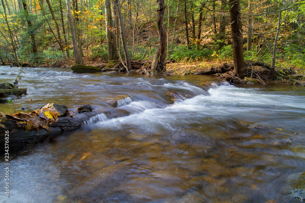 Rolling Mountain Stream Autumn In Pennsylvania