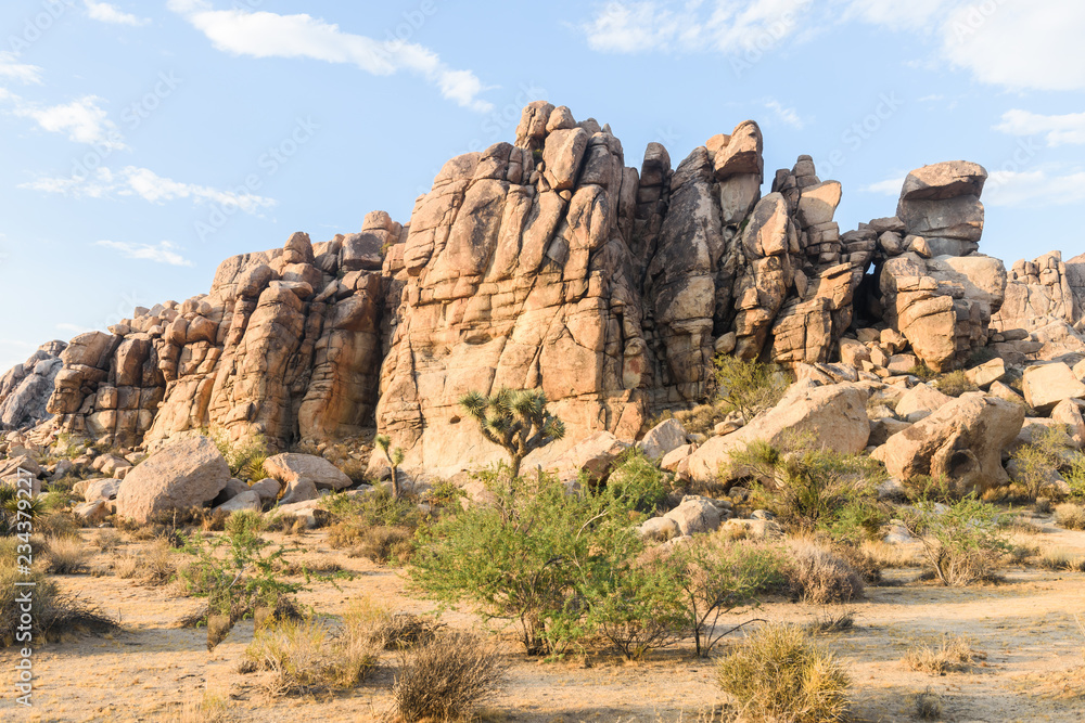 Boulders form a small hill popular for climbing at Joshua Tree National Park.