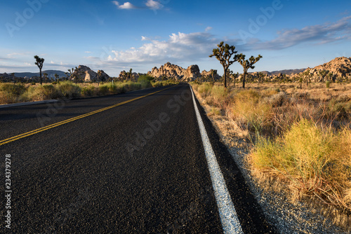 A black asphalt road is the foreground to the joshua trees and mountains in the background at Joshua Tree National Park in Twentynine Palms, CA.