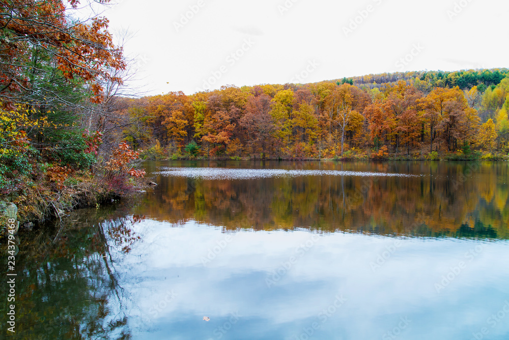 Obraz premium Fall Colors Reflecting On Surface Lake. Saturated Autumn Leaves Yellows, Oranges And Reds