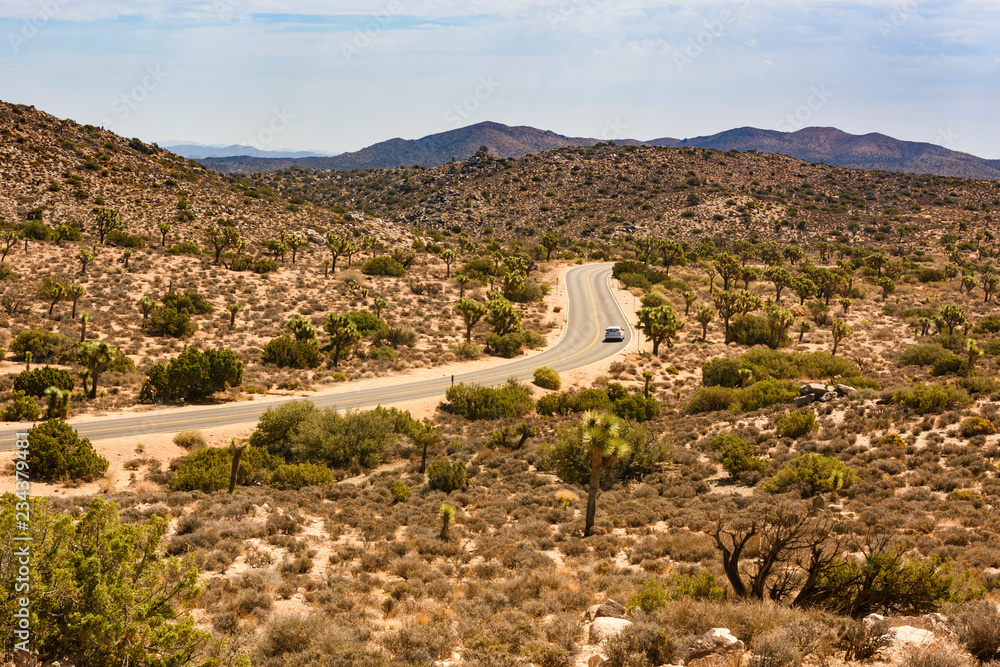 A lone car drives through the park route at Joshua Tree National Park.