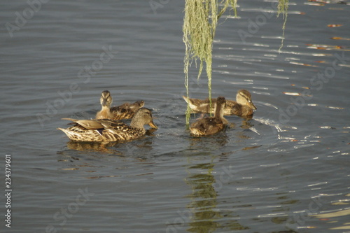 Wasserwelten