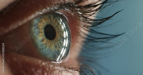 close up macro blue eyes blinking looking curious light reflecting on iris