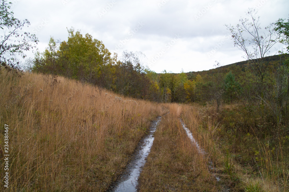 Colorful, Cold And Cloudy Pennsylvania Mountain Autumn Scene Colorful, Cold And Cloudy Pennsylvania Mountain Autumn Scene