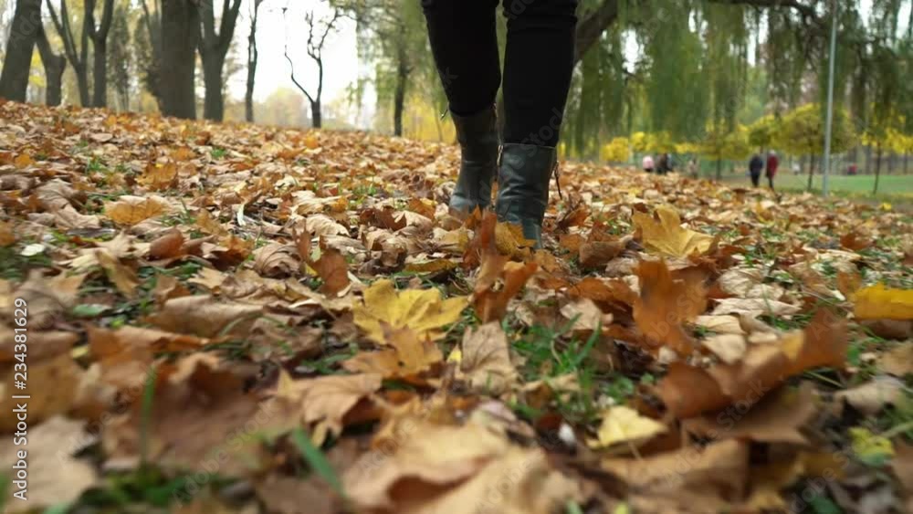 Young woman in green shoes walks on yellow leaves in the park. Autumn mood. Fresh air. Amazing holidays. Blonde young girl in a green coat. Positive emotions and happiness concept Young woman in green shoes walks on yellow leaves in the park. Autumn mood. Fresh air. Amazing holidays. Blonde young girl in a green coat. Positive emotions and happiness concept