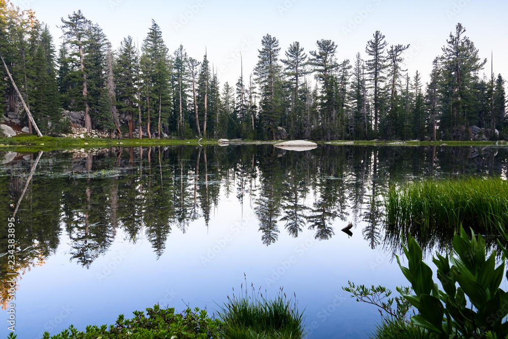 Morning view of a lake, with perfect reflection of trees in the still water surface, Yosemite National Park, Sierra Nevada mountains, California