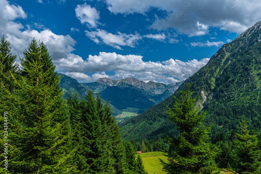 Allgäuer Alpen, Blick über eine Bergwiese in ein Gebirstal