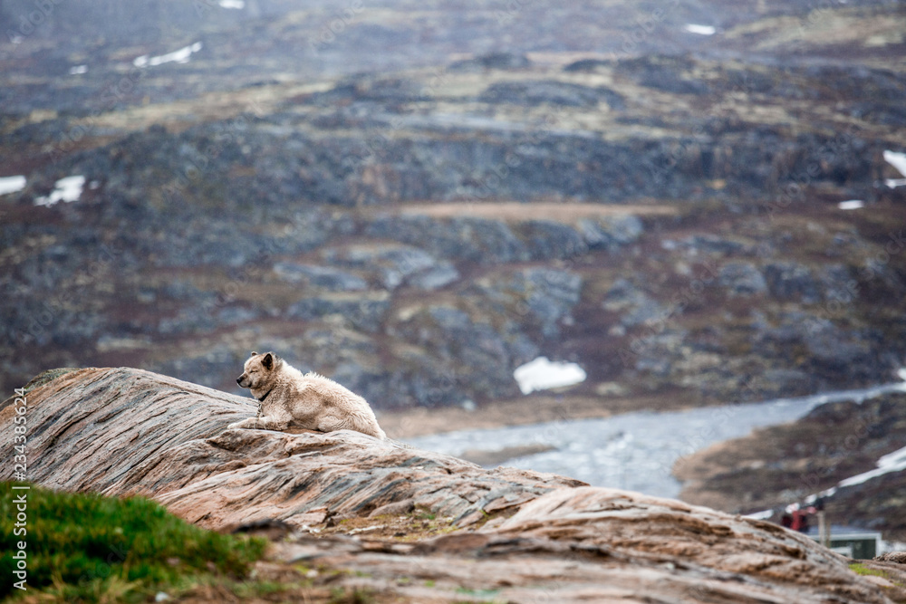 Fototapeta premium Greenland adventure travel