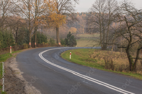 Wallpaper Mural Asfaltowa droga przez jesienny las. Torontodigital.ca