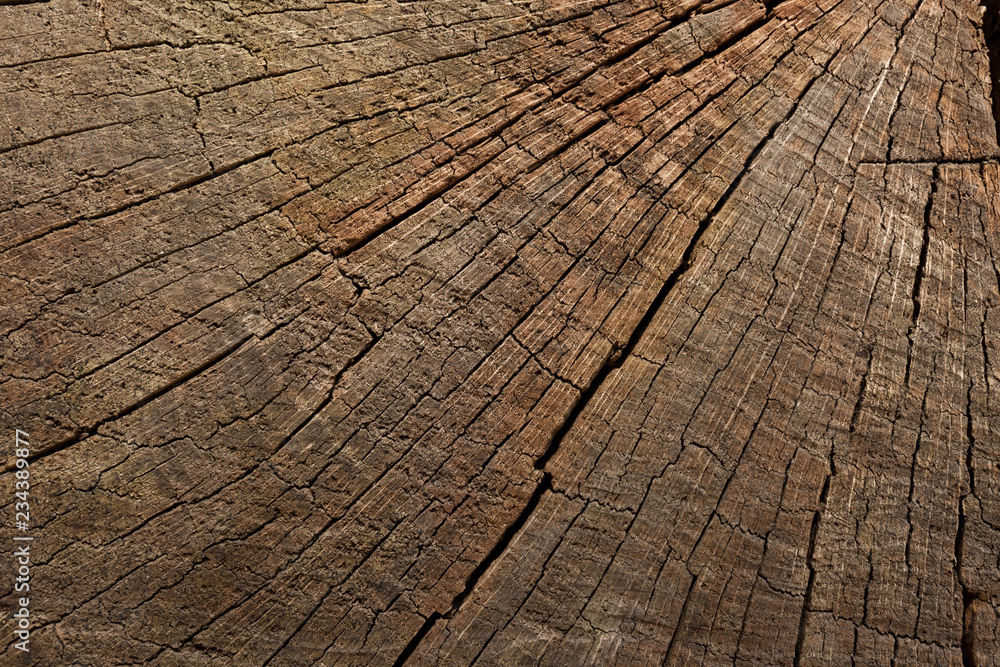 Fototapeta premium Oak wooden dark texture background