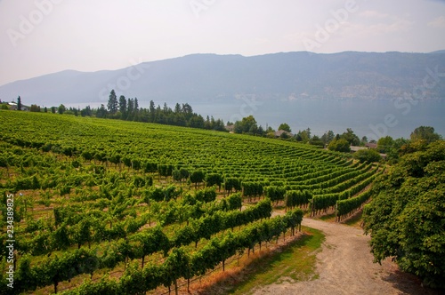Canadian wine country © AleCam