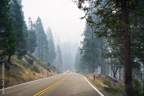Driving through a forest in Yosemite National Park; heavy smoke from Ferguson Fire covering the sky, California photo