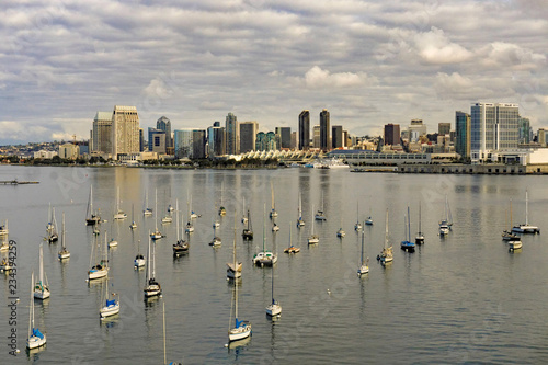 Aerial view of San Diego boat harbor and city