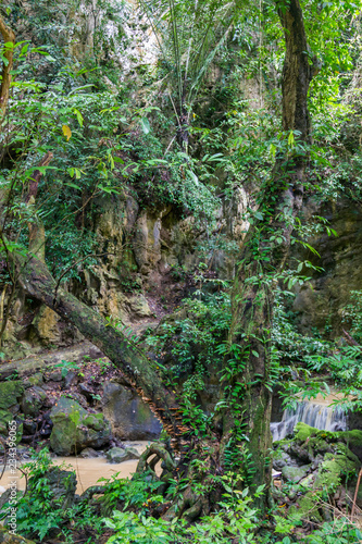 stormy creek in the jungle Phuket  Thailand