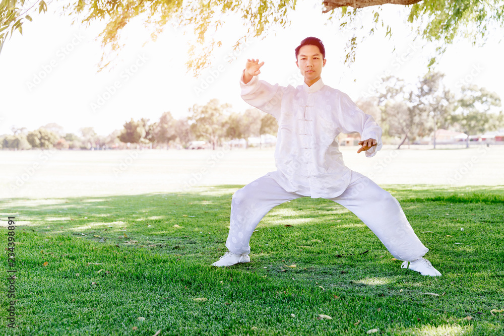 Handsome man practicing thai chi