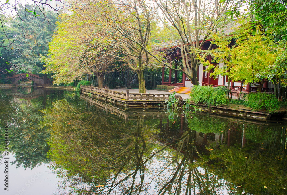 Landscapes of chinese park. Chengdu city. China.