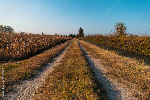 Country dirt road in Lomellina at sunset photo