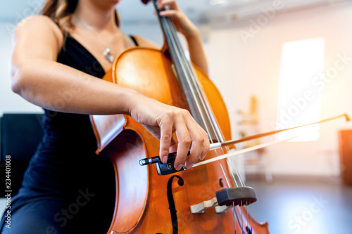 Canvas Print Close up of cello with bow in hands