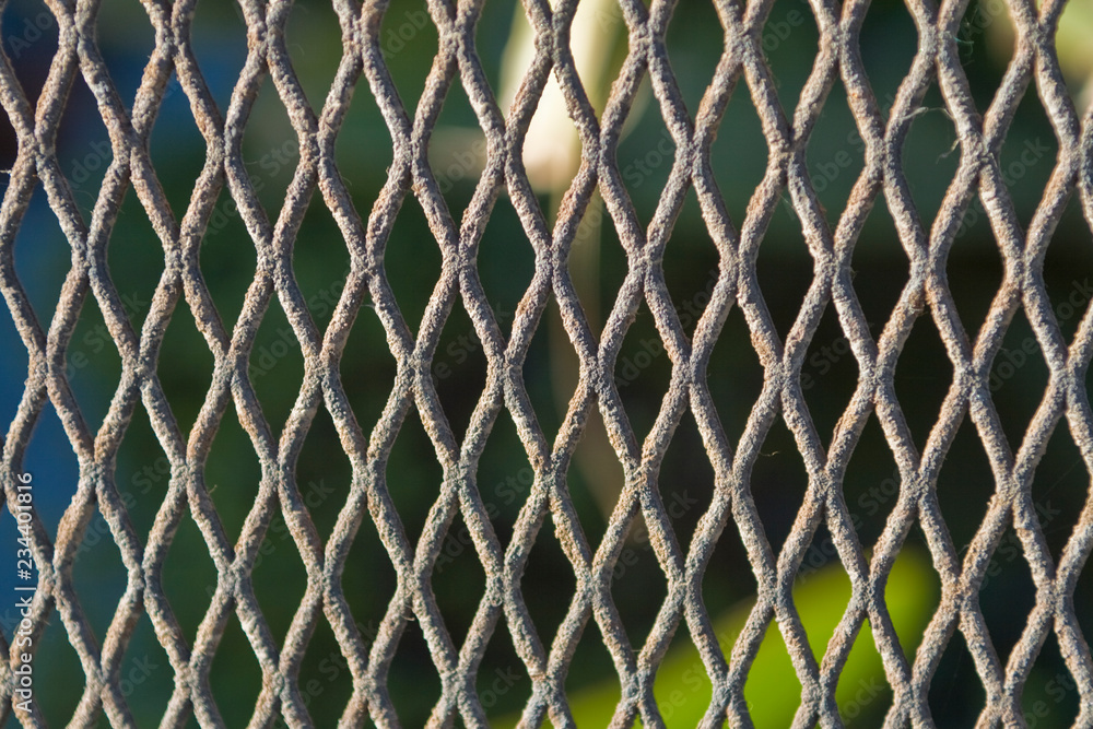 Fototapeta premium Fence