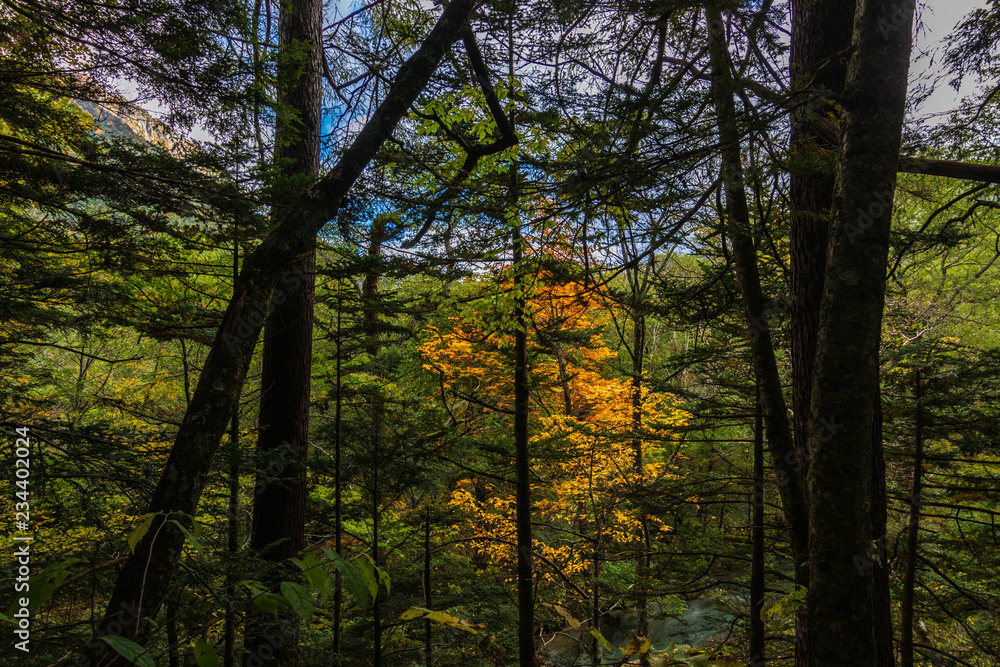 kamikochi