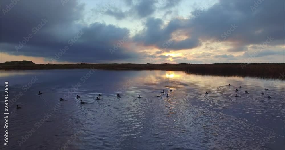 Flying above the wonderful lake with swimming ducks. Magical sunrise. Far East of Russia Flying above the wonderful lake with swimming ducks. Magical sunrise. Far East of Russia