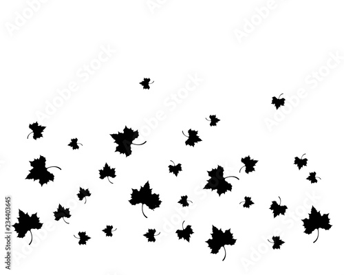 Maple leaf vector icon illustration