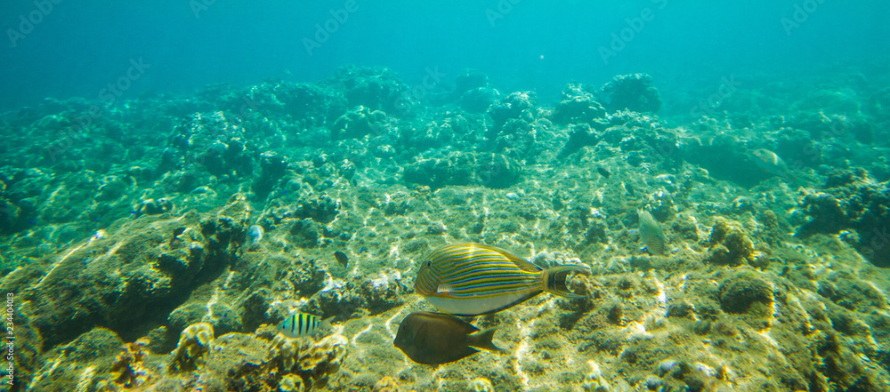 Fototapeta premium South East Asia Adventure Travel