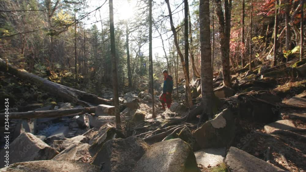 Sliding view of man walking in autumn forest. The shore of small mountain river Sliding view of man walking in autumn forest. The shore of small mountain river