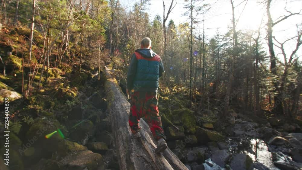 Man is walking along the old tree above small mountain stream. Autumn forest Man is walking along the old tree above small mountain stream. Autumn forest