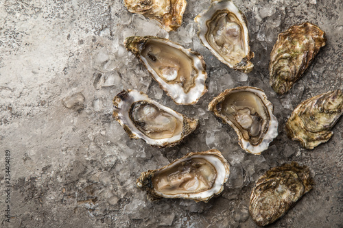 fresh raw oysters with ice on concrete background