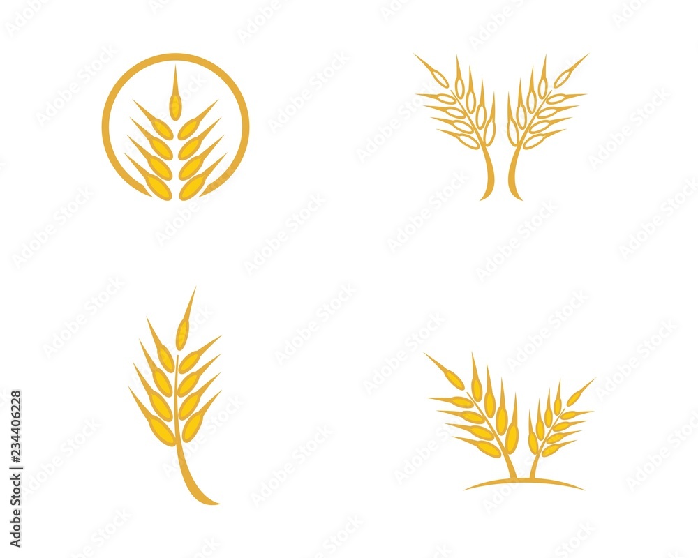 Wheat logo icon illustration Wheat logo icon illustration