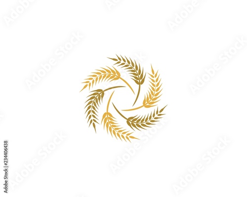 Wheat logo icon illustration