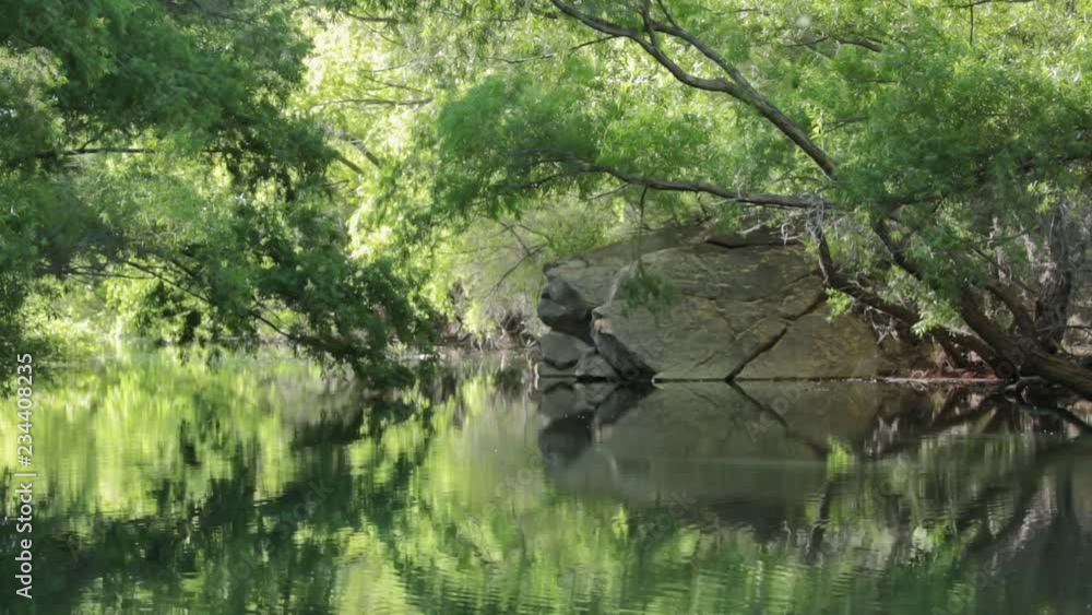 In the quiet morning the still water of Quail creek in Southern Utah reflects the cottonwood trees that are releasing tiny white fluffy seeds to gently float through the air while birds sing nearby. In the quiet morning the still water of Quail creek in Southern Utah reflects the cottonwood trees that are releasing tiny white fluffy seeds to gently float through the air while birds sing nearby.