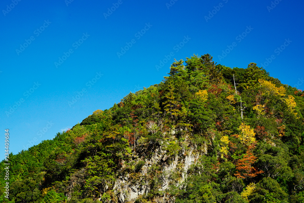 色づく熊野の山　青空バック