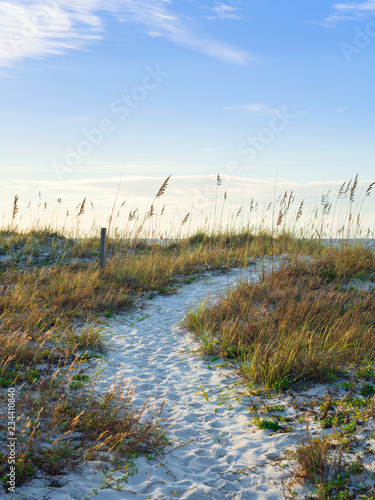 Path to the Sea