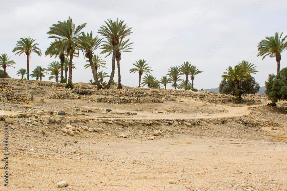Excavated ruins in the ancient city of Meggido Israel