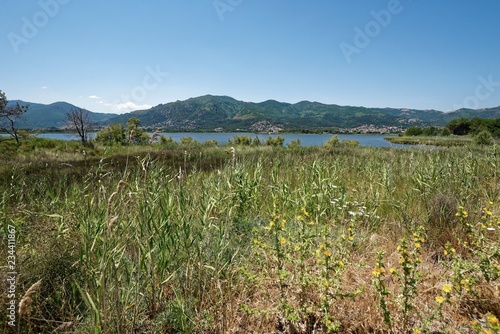 Korsika - Naturreservat Etang de Biguglia photo