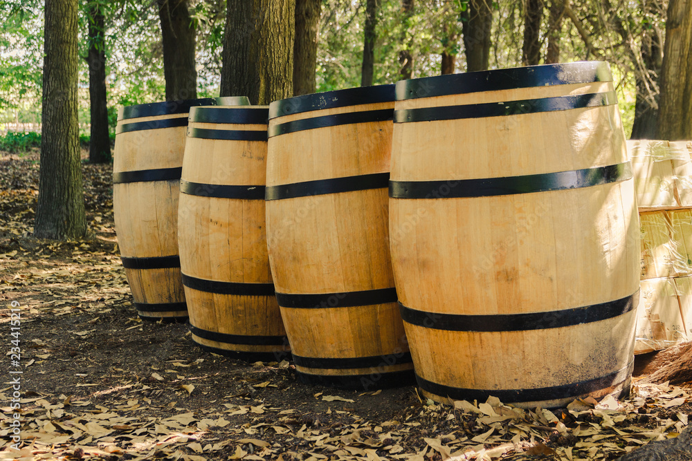 Obraz premium Four wooden wine barrels on the grass
