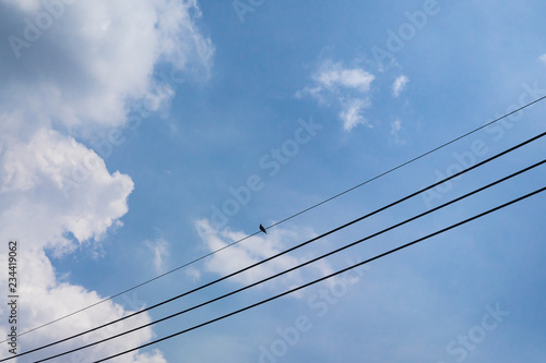 cloudscape fluffy dramatic white cloud on blue sky with birds standing on wire in background, copy space
